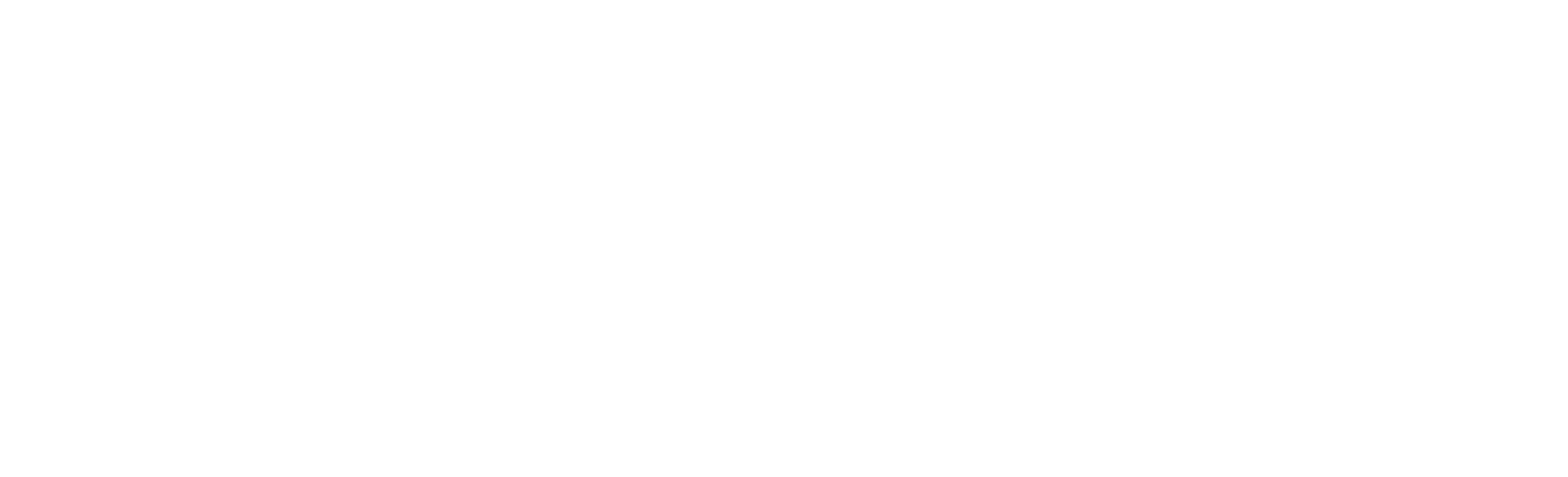 Villars Limousine